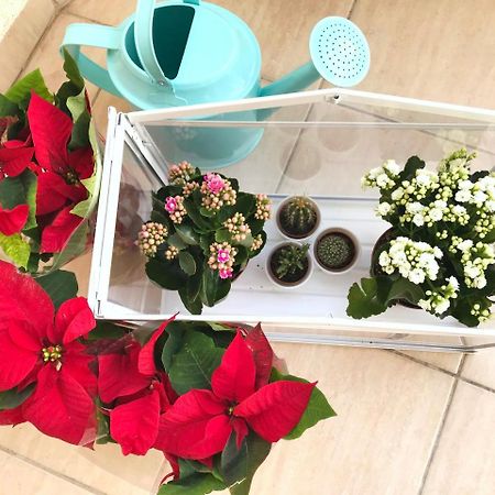 أثينا Koukaki Cozy Apartment المظهر الخارجي الصورة